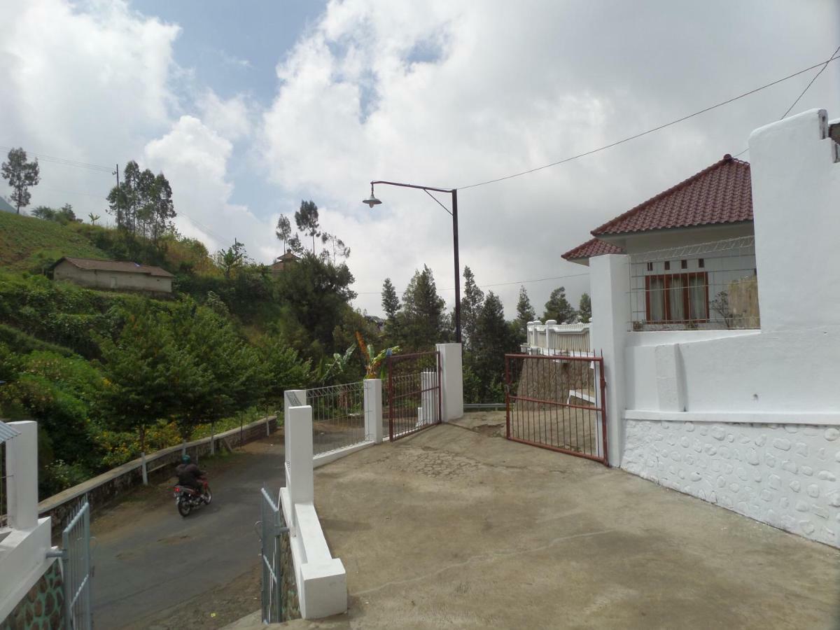 Savana Guesthouse Bromo Exteriér fotografie