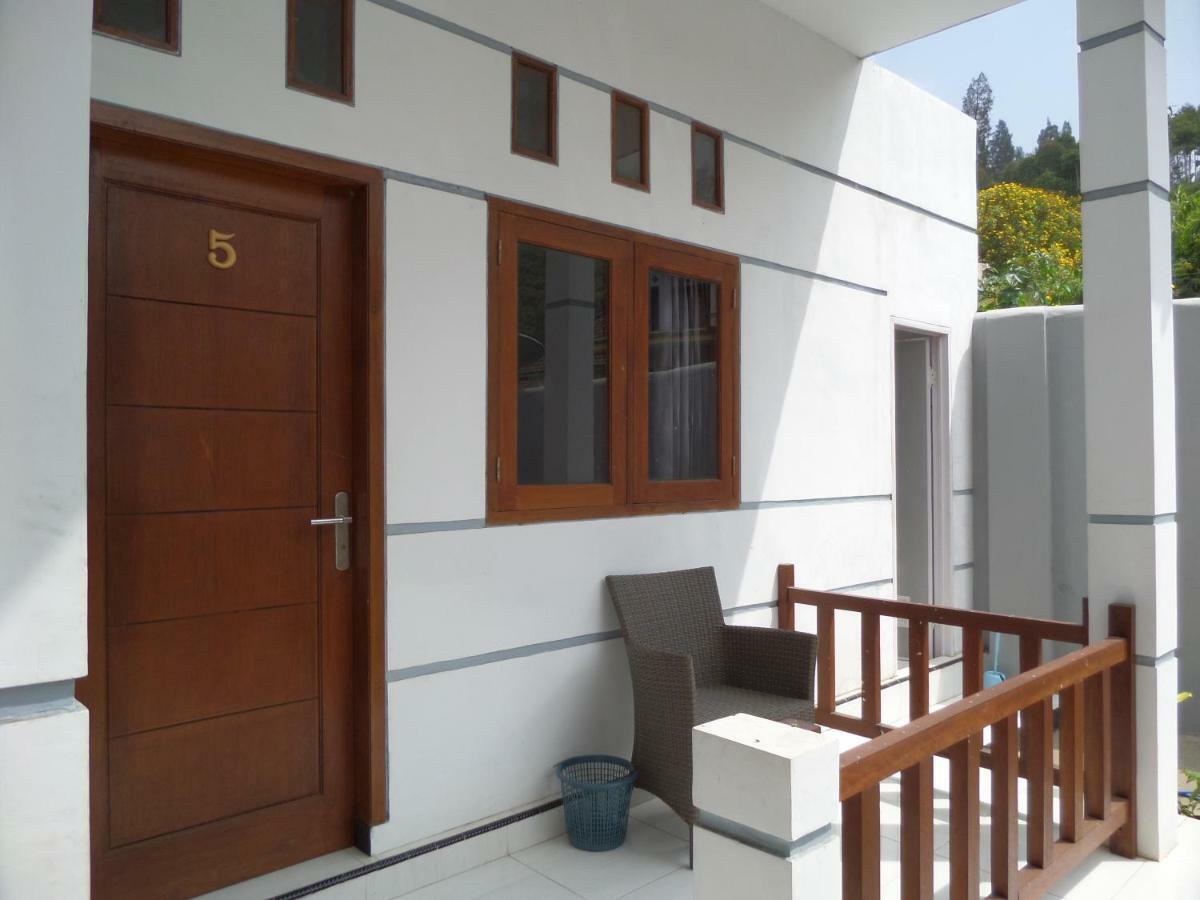 Savana Guesthouse Bromo Exteriér fotografie
