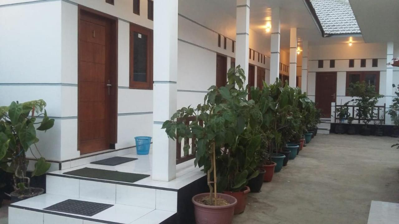 Savana Guesthouse Bromo Exteriér fotografie